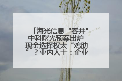 海光信息“吞并”中科曙光预案出炉 现金选择权太“鸡肋”？业内人士：企业不想大量现金流出