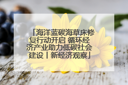 海洋蓝碳海草床修复行动开启 循环经济产业助力低碳社会建设丨新经济观察