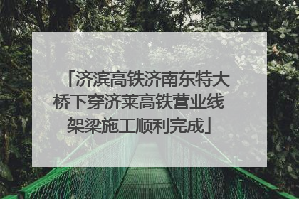 济滨高铁济南东特大桥下穿济莱高铁营业线架梁施工顺利完成