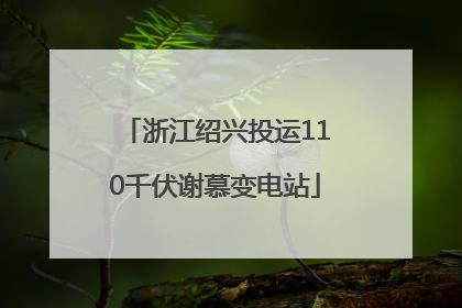 浙江绍兴投运110千伏谢慕变电站