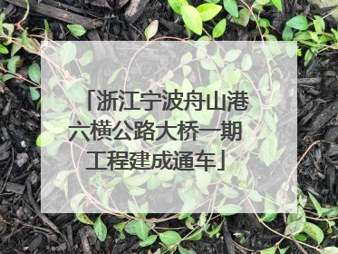 浙江宁波舟山港六横公路大桥一期工程建成通车
