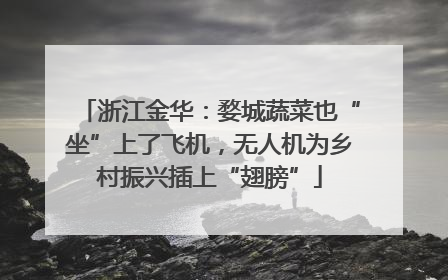 浙江金华：婺城蔬菜也“坐”上了飞机，无人机为乡村振兴插上“翅膀”