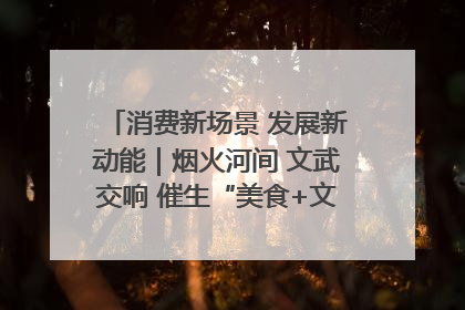 消费新场景 发展新动能｜烟火河间 文武交响 催生“美食+文化”消费新场景