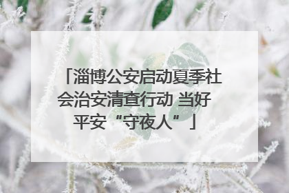 淄博公安启动夏季社会治安清查行动 当好平安“守夜人”