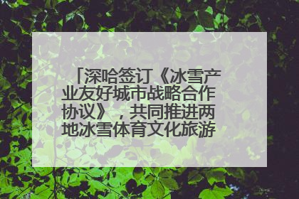 深哈签订《冰雪产业友好城市战略合作协议》，共同推进两地冰雪体育文化旅游高质量发展