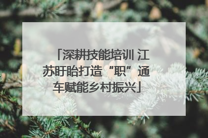 深耕技能培训 江苏盱眙打造“职”通车赋能乡村振兴