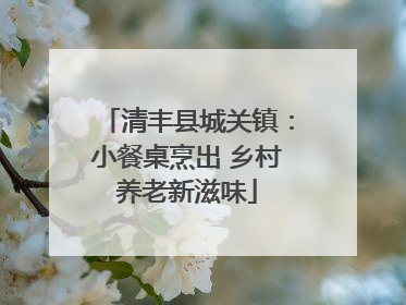 清丰县城关镇：小餐桌烹出 乡村养老新滋味