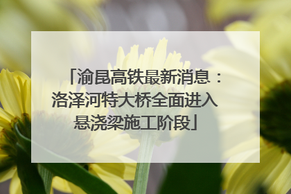 渝昆高铁最新消息：洛泽河特大桥全面进入悬浇梁施工阶段