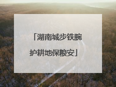 湖南城步铁腕护耕地保粮安