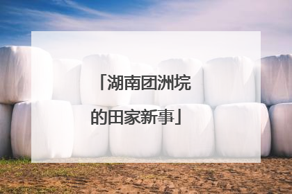 湖南团洲垸的田家新事