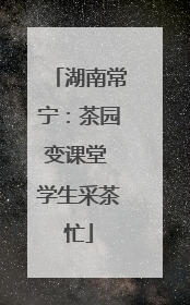 湖南常宁：茶园变课堂 学生采茶忙