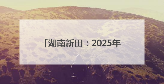 湖南新田：2025年高考首场考试结束 考生有序走出考场（组图）