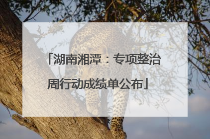 湖南湘潭：专项整治周行动成绩单公布