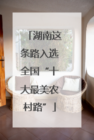 湖南这条路入选全国“十大最美农村路”
