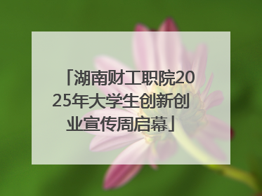 湖南财工职院2025年大学生创新创业宣传周启幕