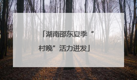 湖南邵东夏季“村晚”活力迸发