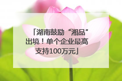 湖南鼓励“湘品”出境！单个企业最高支持100万元