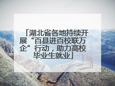 湖北省各地持续开展“百县进百校联万企”行动，助力高校毕业生就业