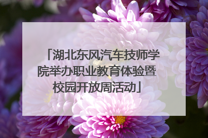 湖北东风汽车技师学院举办职业教育体验暨校园开放周活动