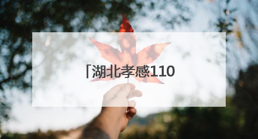 湖北孝感110，在变与不变中守护“万家安宁”