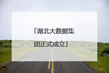湖北大数据集团正式成立