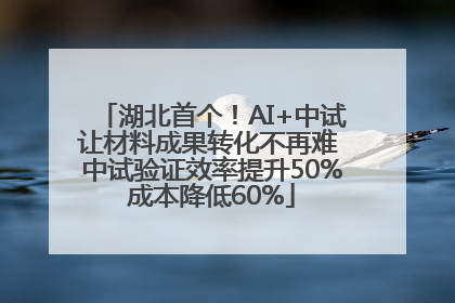 湖北首个！AI+中试让材料成果转化不再难 中试验证效率提升50%成本降低60%