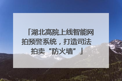 湖北高院上线智能网拍预警系统，打造司法拍卖“防火墙”