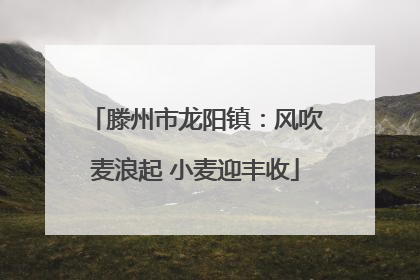滕州市龙阳镇：风吹麦浪起 小麦迎丰收