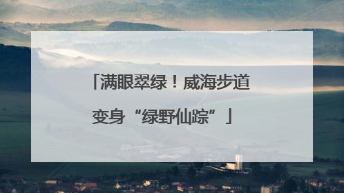 满眼翠绿！威海步道变身“绿野仙踪”