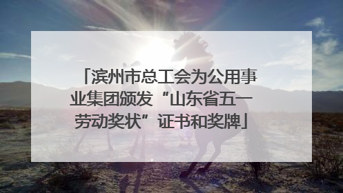 滨州市总工会为公用事业集团颁发“山东省五一劳动奖状”证书和奖牌