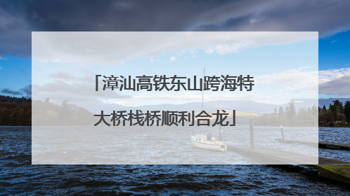 漳汕高铁东山跨海特大桥栈桥顺利合龙