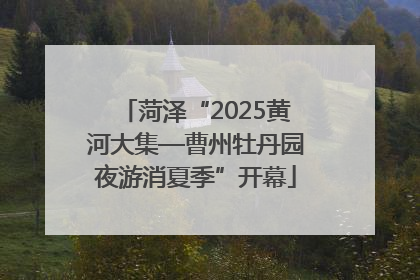 菏泽“2025黄河大集—曹州牡丹园夜游消夏季”开幕