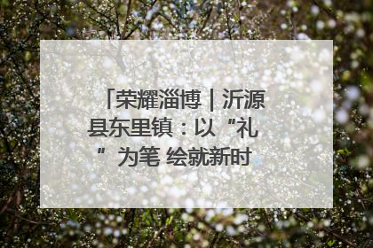 荣耀淄博｜沂源县东里镇：以“礼”为笔 绘就新时代乡风文明画卷