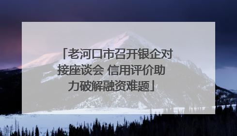 老河口市召开银企对接座谈会 信用评价助力破解融资难题