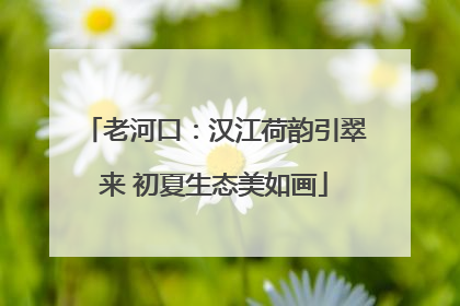 老河口：汉江荷韵引翠来 初夏生态美如画