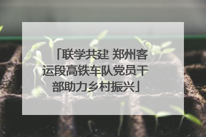 联学共建 郑州客运段高铁车队党员干部助力乡村振兴