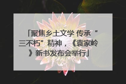 聚焦乡土文学 传承“三不朽”精神，《袁家岭》新书发布会举行