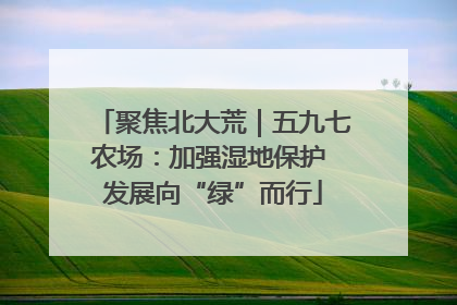 聚焦北大荒｜五九七农场：加强湿地保护 发展向“绿”而行