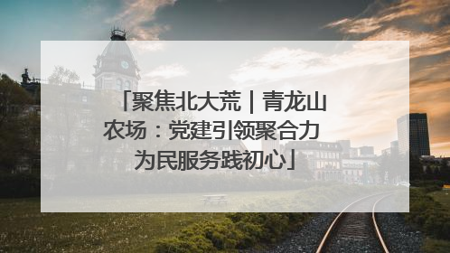 聚焦北大荒｜青龙山农场：党建引领聚合力 为民服务践初心