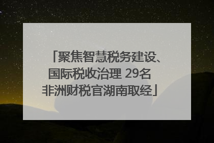 聚焦智慧税务建设、国际税收治理 29名非洲财税官湖南取经