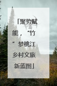 聚势赋能，“竹”梦桃江乡村文旅新蓝图