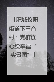 肥城仪阳街道下三合村：党群连心绘幸福“实景图”