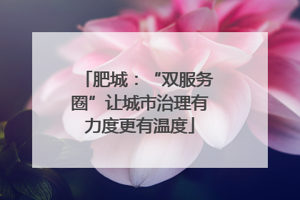 肥城：“双服务圈”让城市治理有力度更有温度