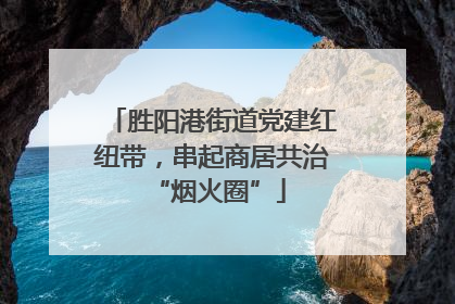 胜阳港街道党建红纽带，串起商居共治 “烟火圈”