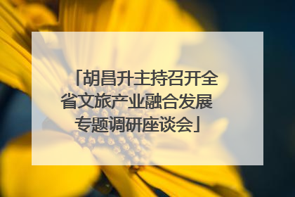 胡昌升主持召开全省文旅产业融合发展专题调研座谈会