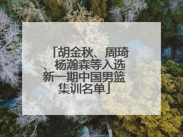 胡金秋、周琦、杨瀚森等入选新一期中国男篮集训名单