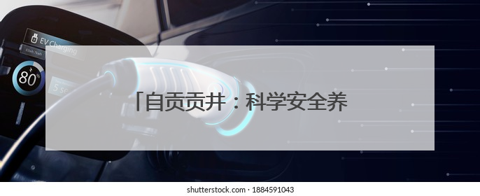 自贡贡井：科学安全养殖 护航渔业健康发展