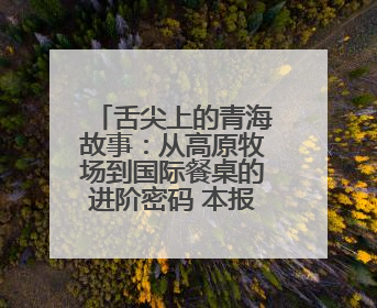 舌尖上的青海故事：从高原牧场到国际餐桌的进阶密码 本报记者 罗 珺