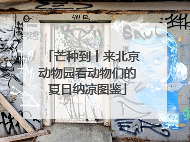 芒种到丨来北京动物园看动物们的夏日纳凉图鉴