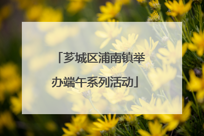 芗城区浦南镇举办端午系列活动